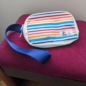 Striped Belt/Cross-body Bag - Multicolor